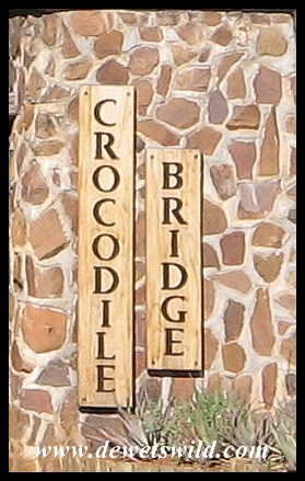 Crocodile Bridge