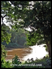 Luvuvhu River