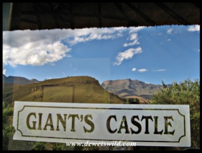 Giant's Castle Game Reserve, April 2014