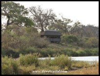 Shipandani Hide, Kruger National Park, September 2014