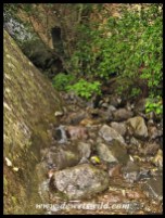 Small mountain stream flowing through the ravine