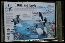 Excellent information boards explain the different habitats