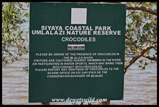 Beware the crocodiles!