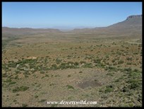 Wide open spaces in the Karoo