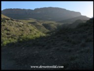 Karoo Landscape