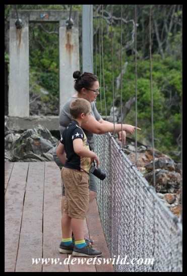 In deep conversation on the suspension bridge at the Storms River Mouth