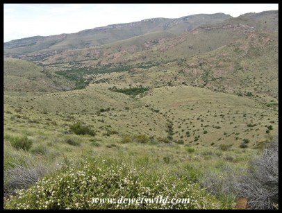 Scenery at Mountain Zebra National Park