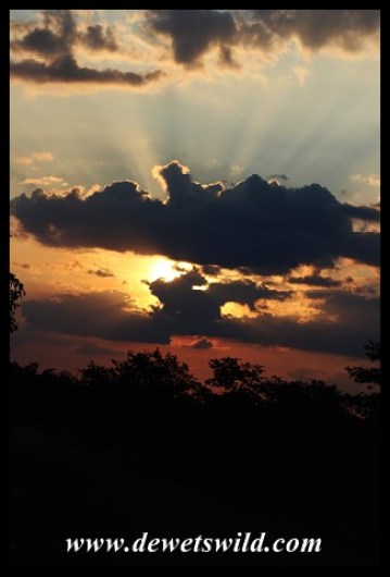 Kruger sunset
