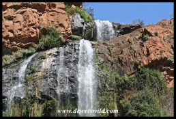 Witpoortjie Falls in the Walter Sisulu Botanical Garden