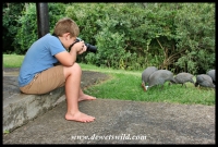 9 years old: March 2019. Joubert photographing guineafowl at Thendele