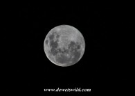 Full Moon over Glen Reenen