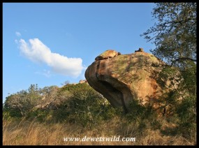 Rocky outcrops are a feature of the Pretoriuskop area