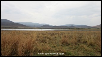 Scenery at Mankwe Dam