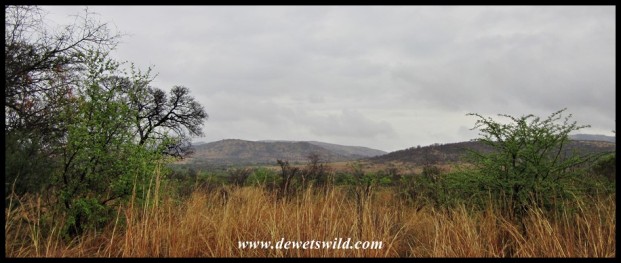 Pilanesberg scenery along Kgabo Drive