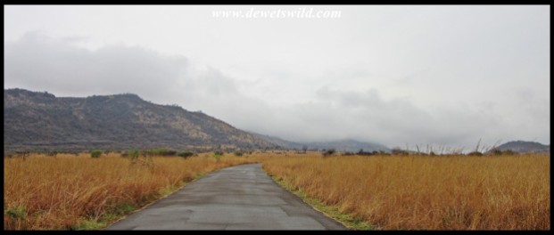 Pilanesberg scenery along Tau Link