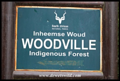 Woodville Forest