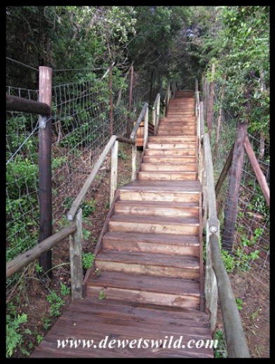 Steps leading up to the Kwasheleni Tower