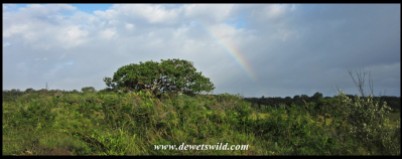 Rainbow along the Grassland Loop