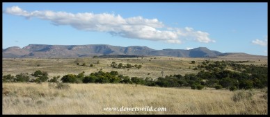 Mountain Zebra National Park's wide open spaces