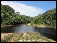 The Groot River at Nature's Valley