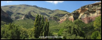 View from our cottage at Glen Reenen in the Golden Gate Highlands National Park