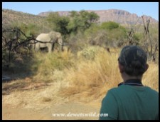 Joubert eyeing a bull elephant at Tlopi Tented Camp in Marakele National Park