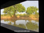 Looking out from Kumasinga Hide