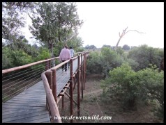 Mapungubwe's Treetop Walk on the bank of the Limpopo River