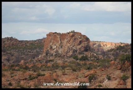 Another of Mapungubwe's hills that ,looks almost like a monument!
