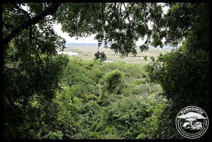 View from the uMthoma Aerial Boardwalk towards the marshes on the banks of Lake Saint Lucia