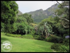 Kirstenbosch National Botanical Garden, 23 December 2022