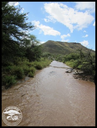 A normally dry Karoo streambed transformed into a flowing river