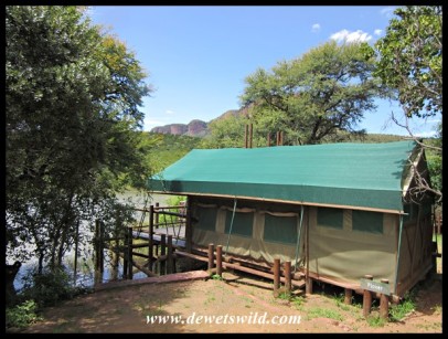 Tlopi Tent #1 (Plover), Marakele National Park, February 2022